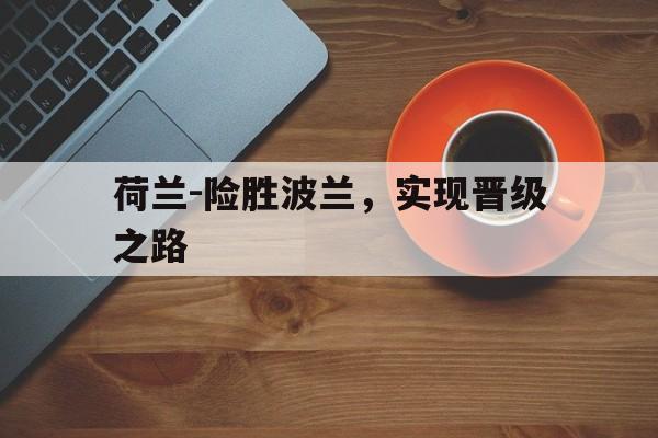 关于荷兰-险胜波兰，实现晋级之路的信息